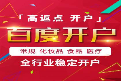百度竞价策略解析：案例分析及优化建议